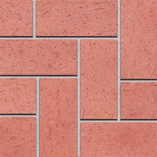 Rose Tan