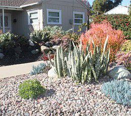 Sustainable Landscape