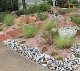 Xeriscaping