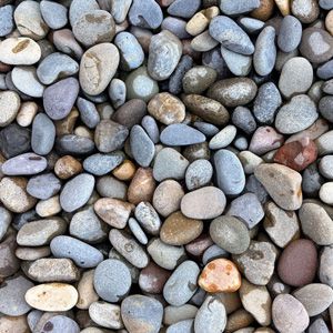 Pebbles, Los Angeles, CA