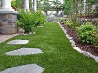 Synthetic Grass