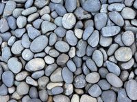 Mexican Pebble Black