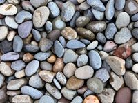 Mexican Pebble Mixed