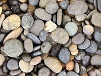 Mexican Pebble San Quentin