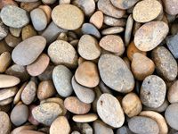 Mexican pebble button buff