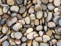 Mexican pebble button mixed