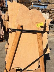 Arizona Buckskin