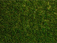 Synthetic Turf Colors