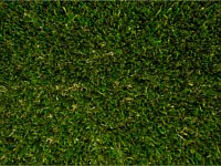 Synthetic Turf Colors