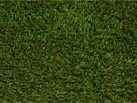 Synthetic Turf Colors