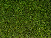 Synthetic Turf Colors