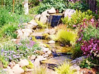 Water Features