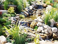 Water Features