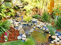 Water Features