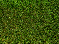 Synthetic Turf Colors