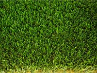 Synthetic Turf Colors