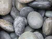 Mexican Beach Pebbles