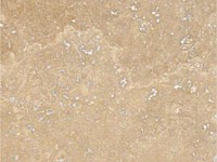 Travertine