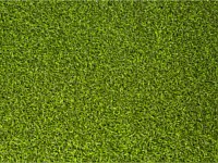 Synthetic Turf Colors