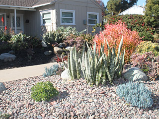 Landscaping CA