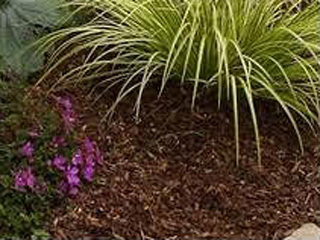 Sustainable Landscaping Materials